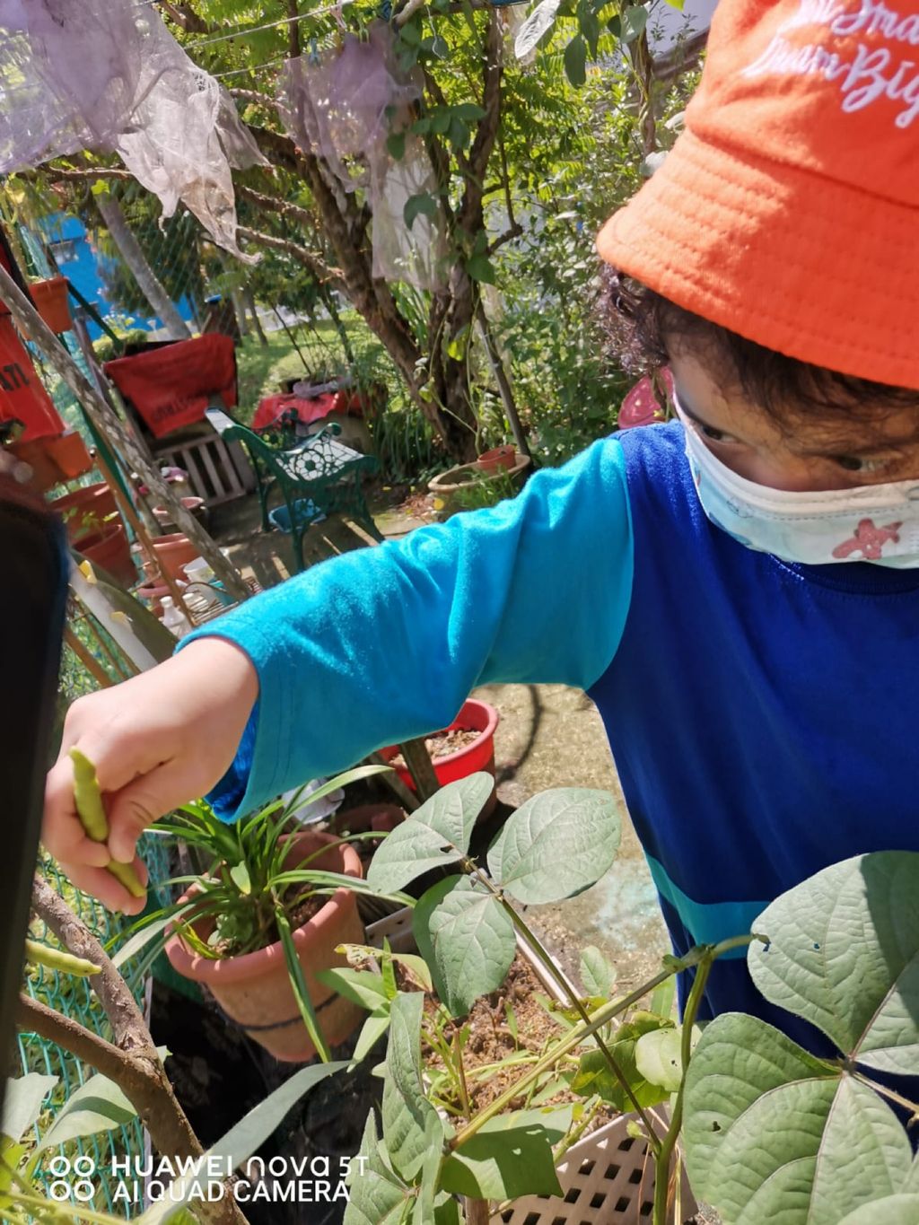 Week 12: ‘Nature and Me!’ – Closure to SSDB 2020 Project — photo 8