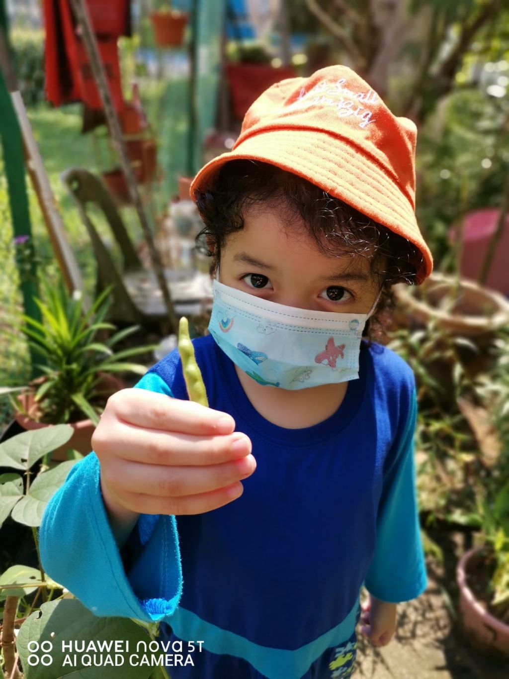 Week 12: ‘Nature and Me!’ – Closure to SSDB 2020 Project — photo 11
