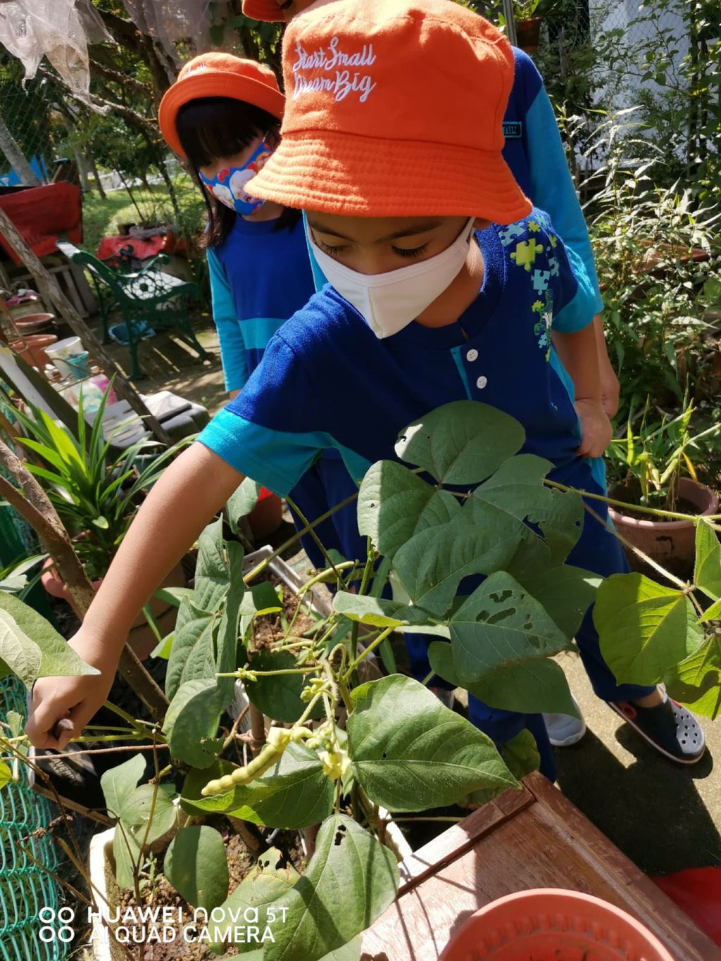 Week 12: ‘Nature and Me!’ – Closure to SSDB 2020 Project — photo 12