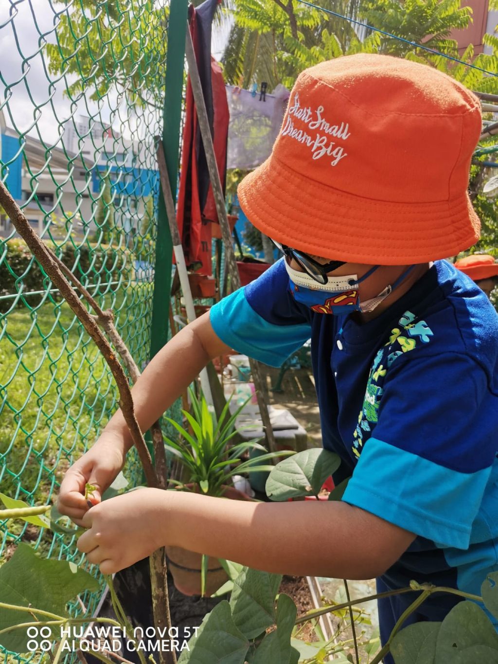 Week 12: ‘Nature and Me!’ – Closure to SSDB 2020 Project — photo 14
