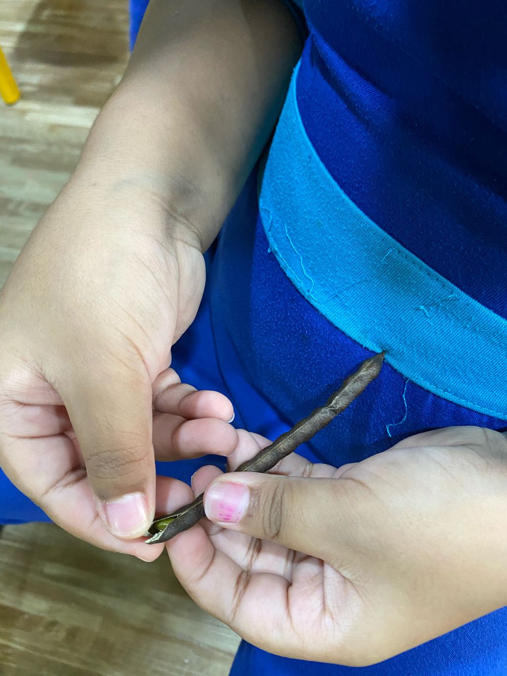 Week 12: ‘Nature and Me!’ – Closure to SSDB 2020 Project — photo 15