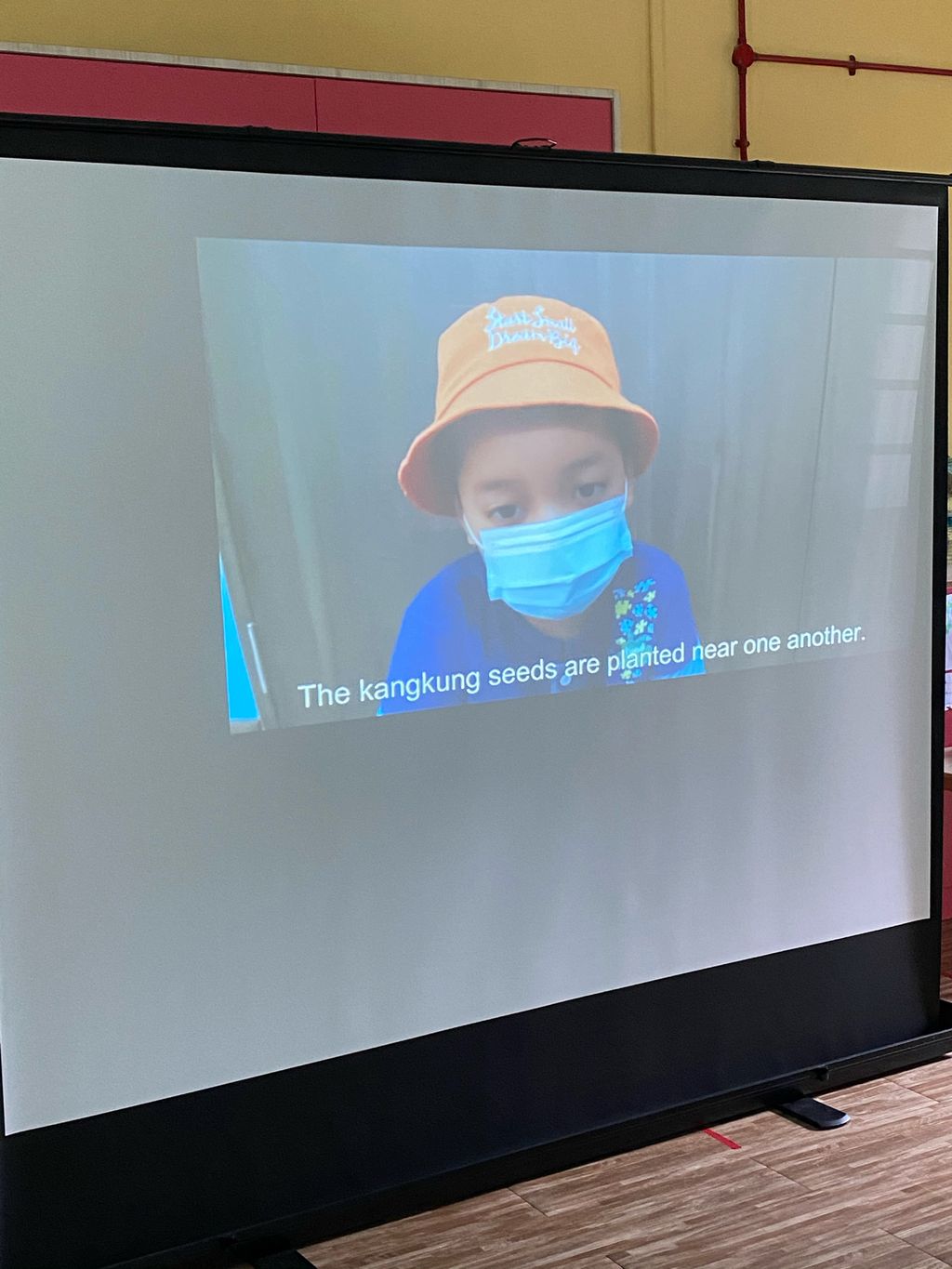 Week 12: ‘Nature and Me!’ – Closure to SSDB 2020 Project — photo 5