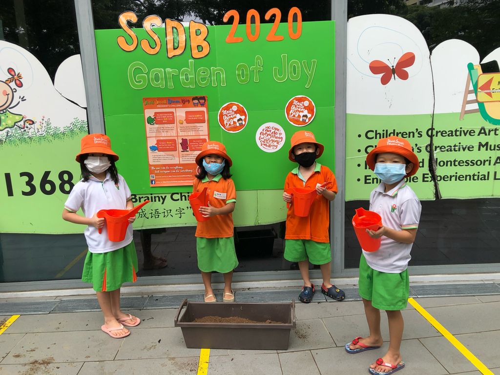 SSDB 2020 Launch Party: Garden of Joy