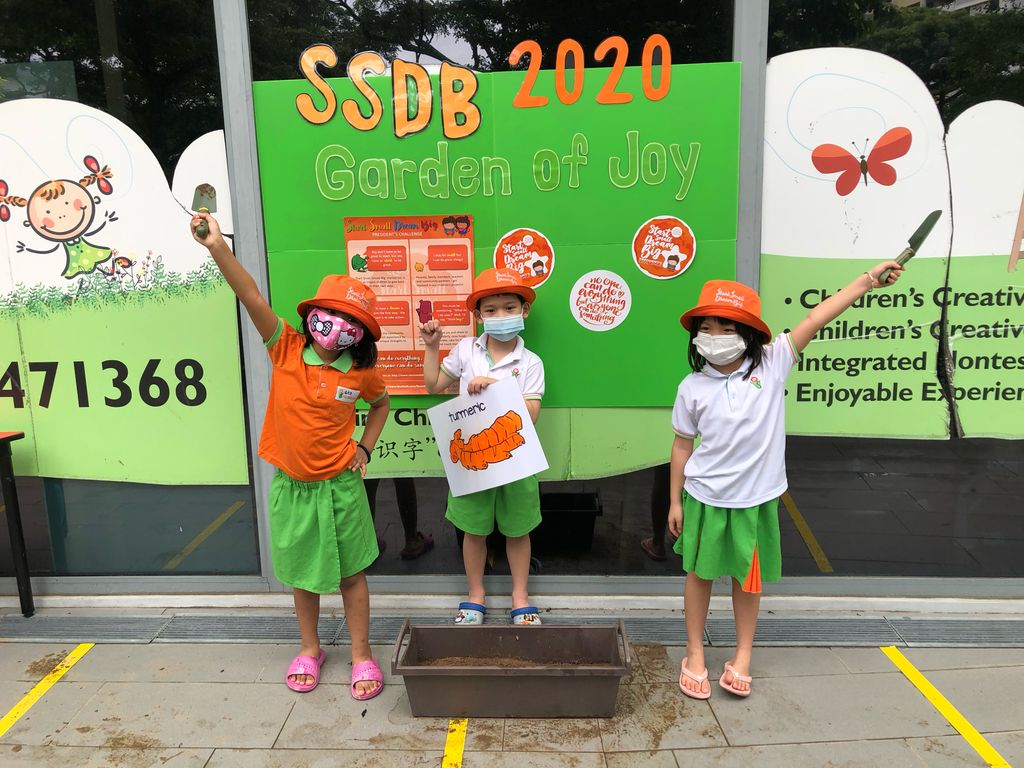 SSDB 2020 Launch Party: Garden of Joy — photo 2