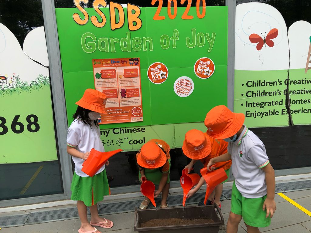 SSDB 2020 Launch Party: Garden of Joy — photo 3