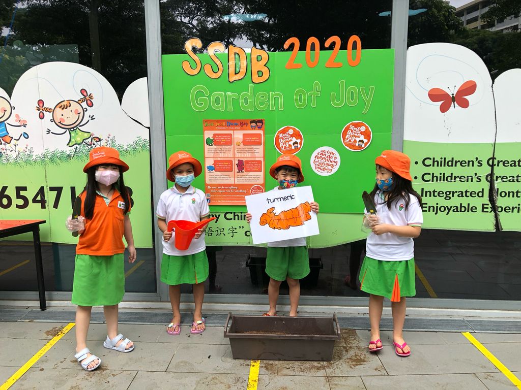 SSDB 2020 Launch Party: Garden of Joy — photo 4