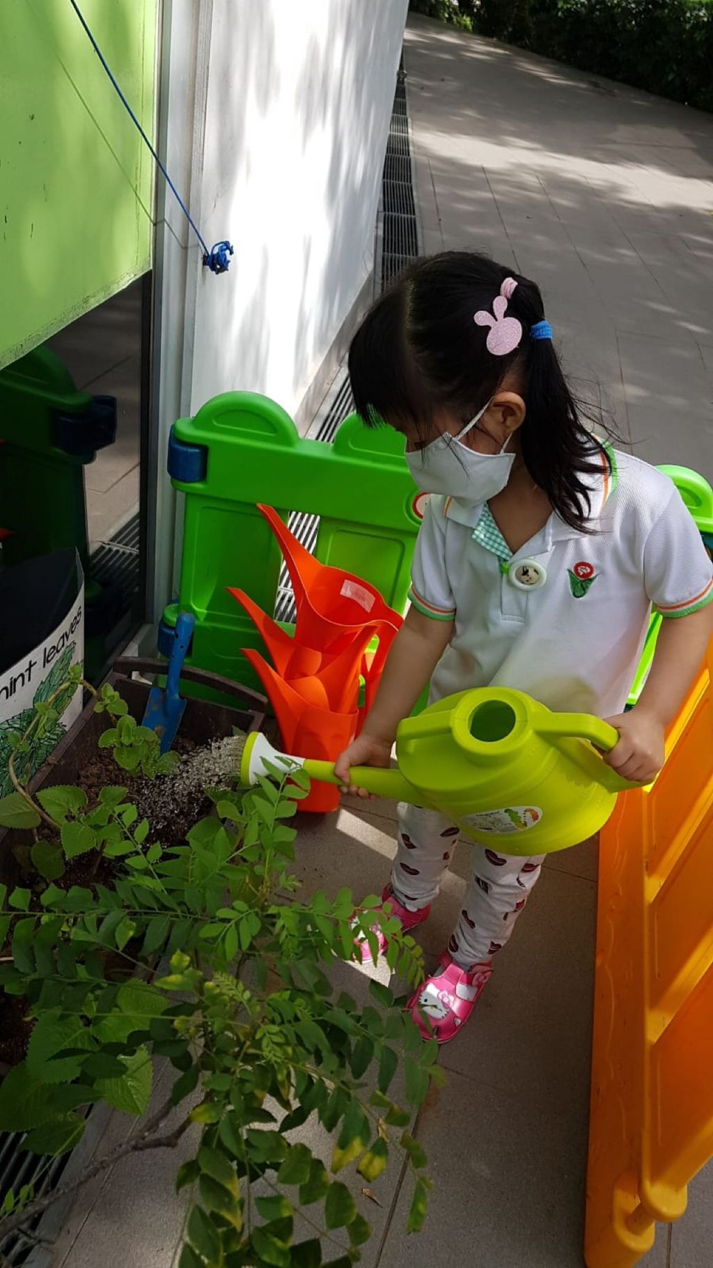 Garden of Joy in Bloom — photo 2
