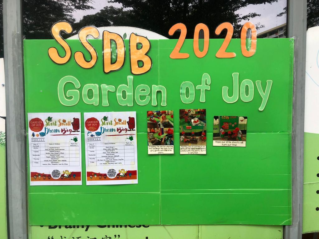 Garden of Joy in Bloom — photo 4