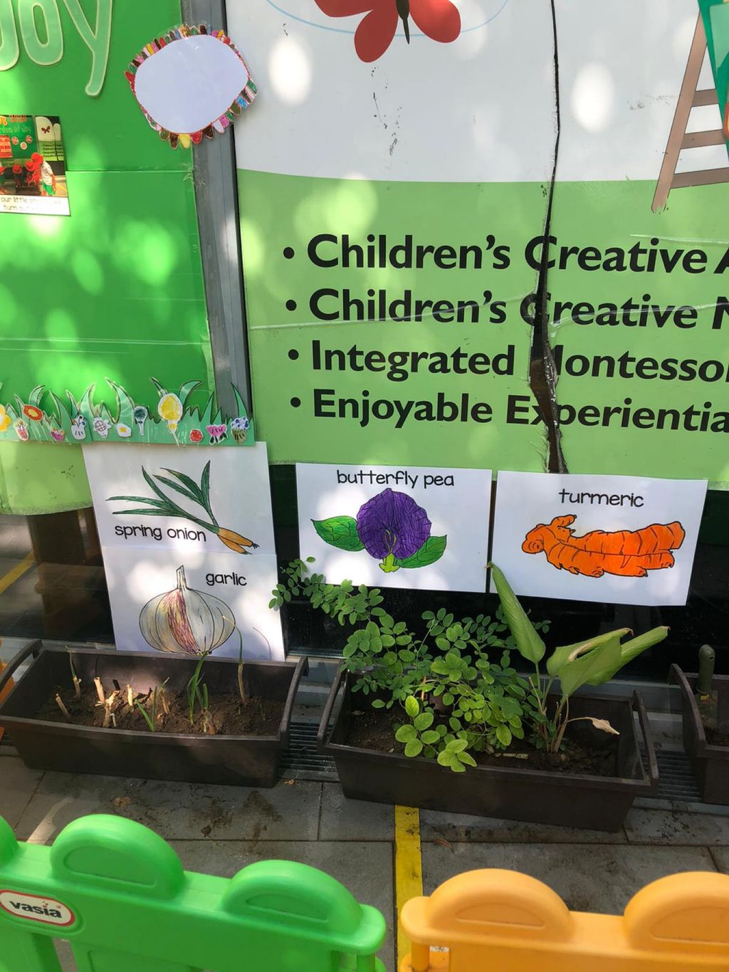 Garden of Joy in Bloom — photo 9