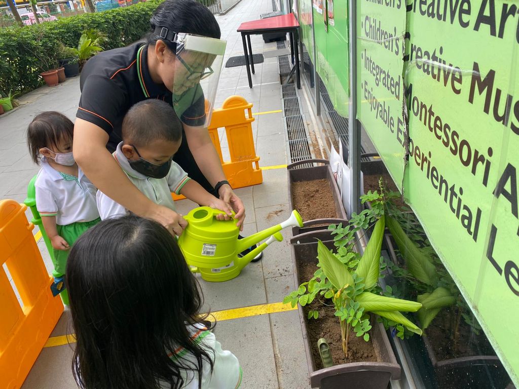 Garden of Joy in Bloom — photo 10