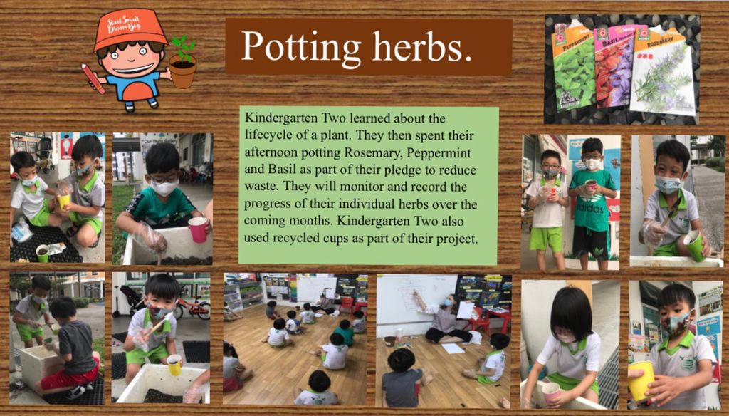 Potting Herbs.