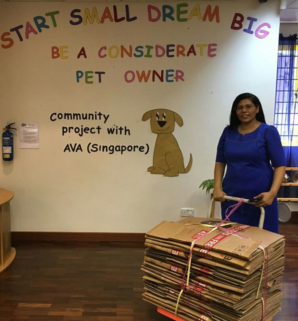 Parental Involvement in Making Toys for Abandoned Pets — photo 1