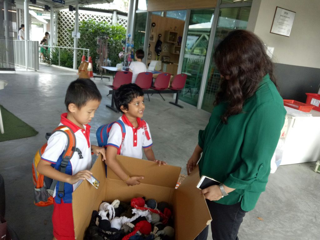 Parental Involvement in Making Toys for Abandoned Pets — photo 4