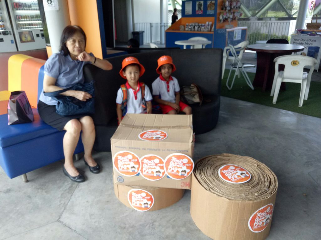 Parental Involvement in Making Toys for Abandoned Pets — photo 5