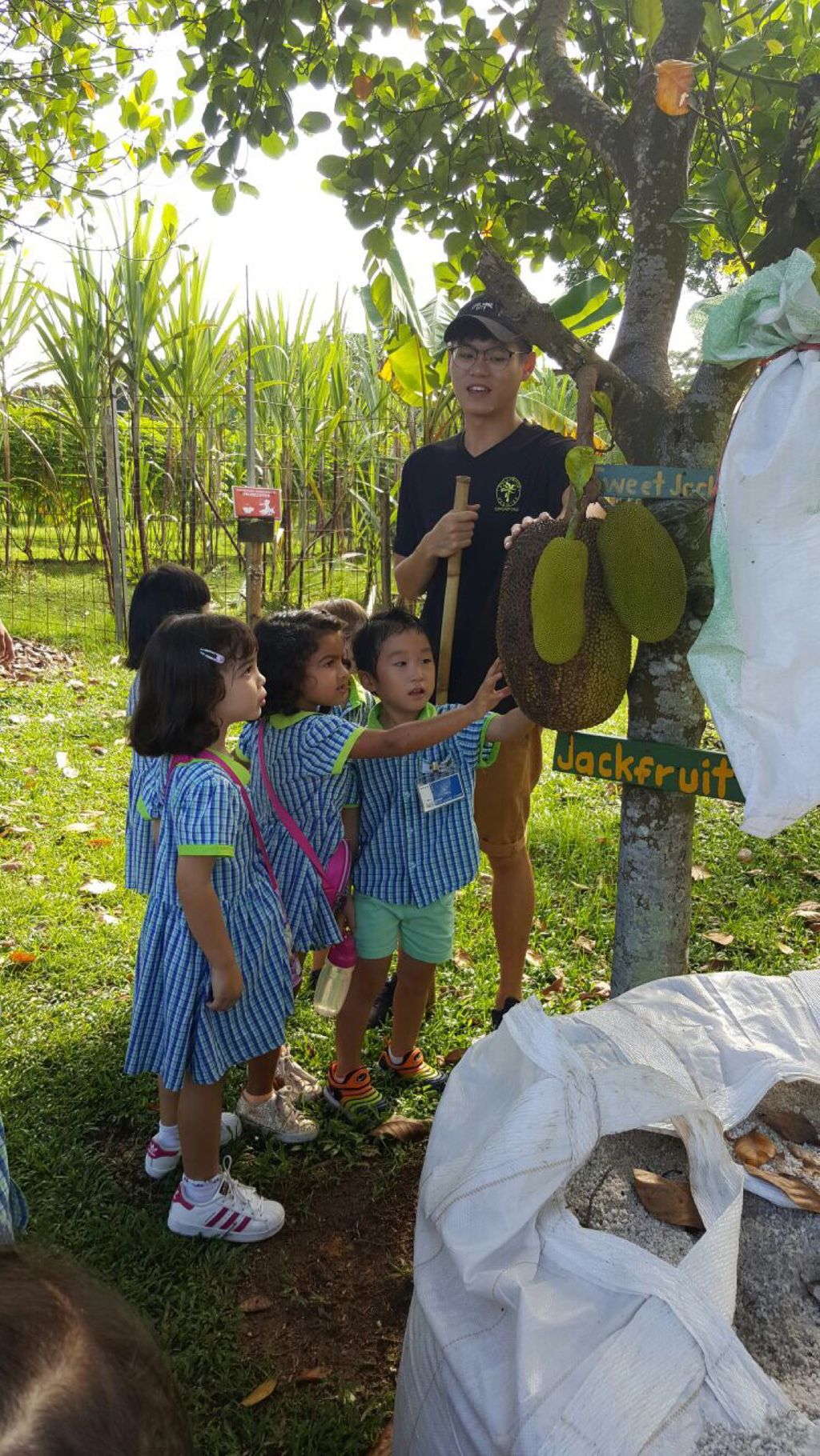 Growing in Love through Rice @ Pariposa Preschool — photo 8