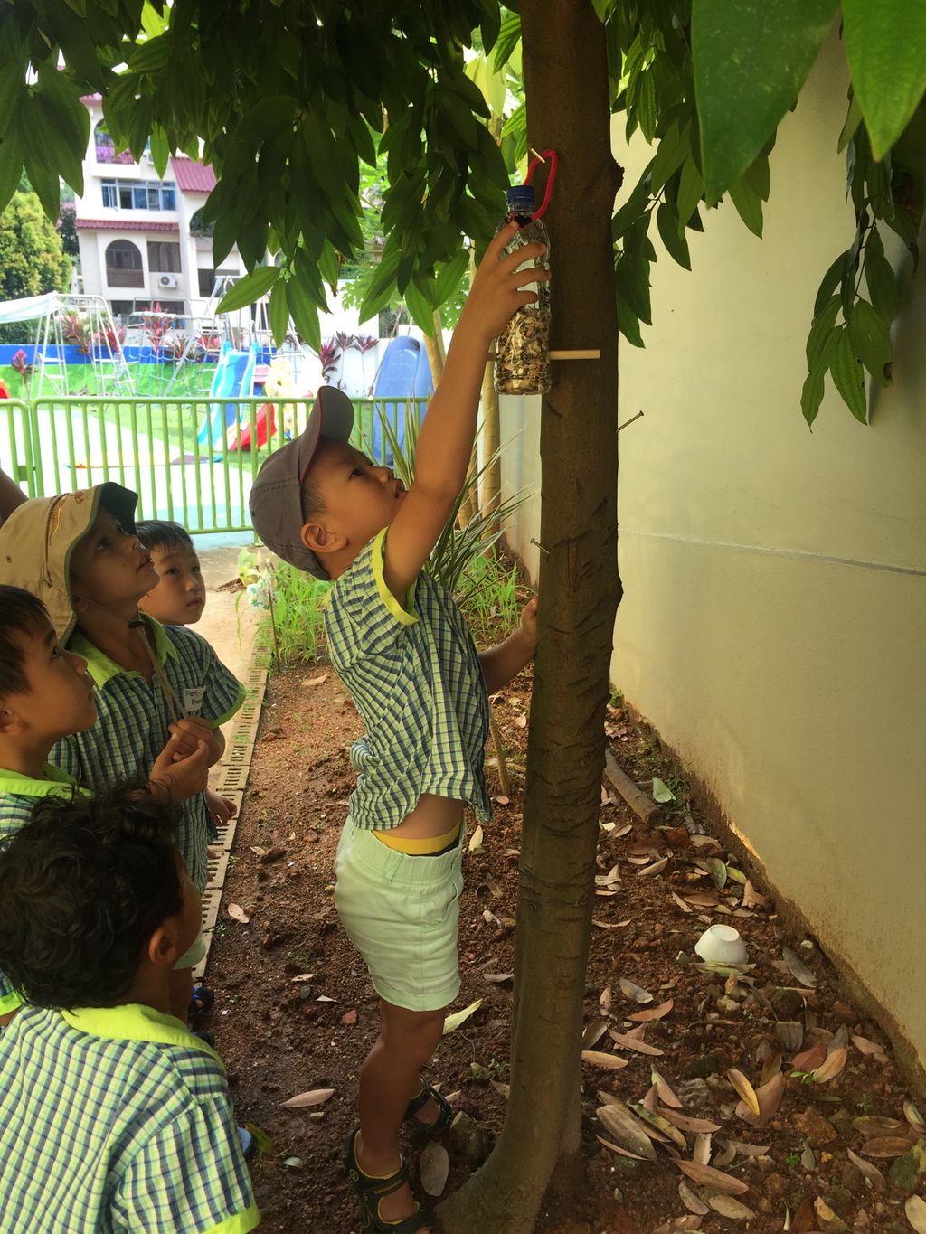 Growing in Love through Rice @ Pariposa Preschool — photo 11