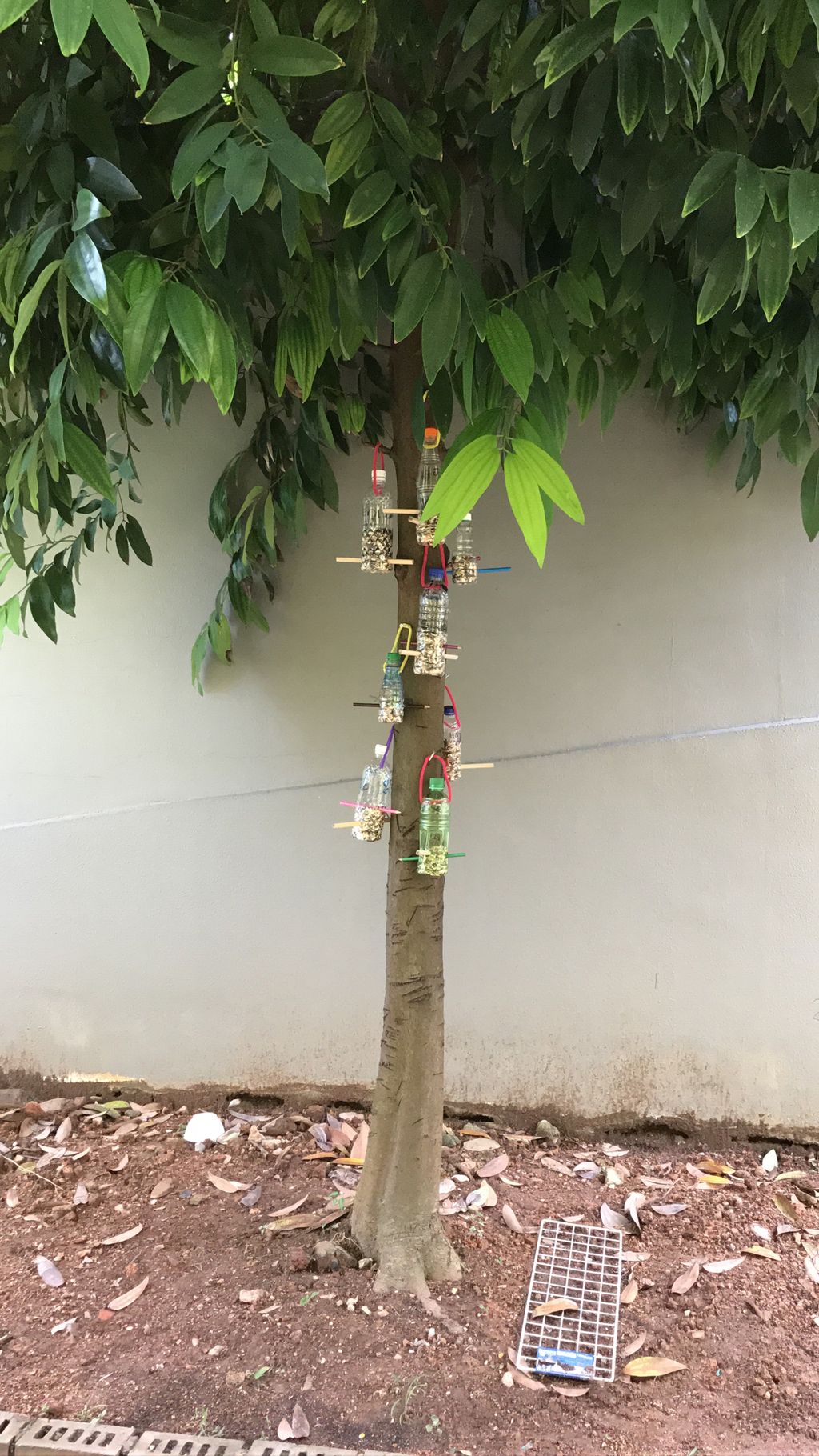 Growing in Love through Rice @ Pariposa Preschool — photo 14