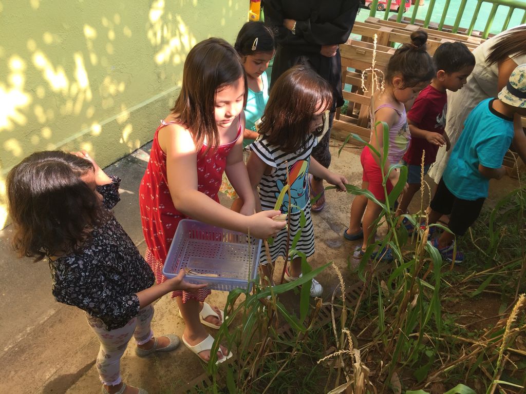 Growing in Love through Rice @ Pariposa Preschool — photo 21