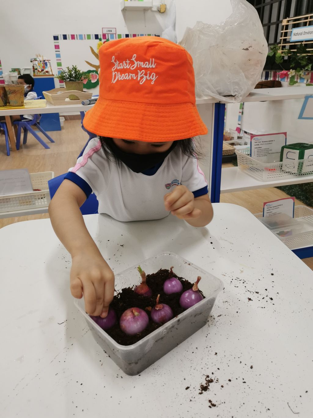 I love the labor — photo 15