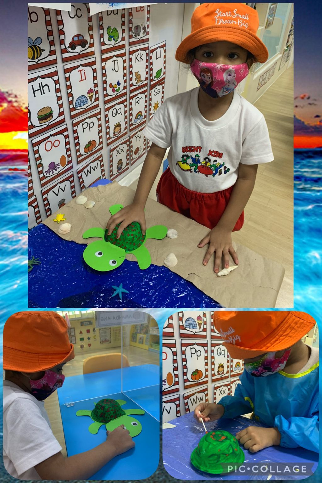 Save our turtles — photo 3