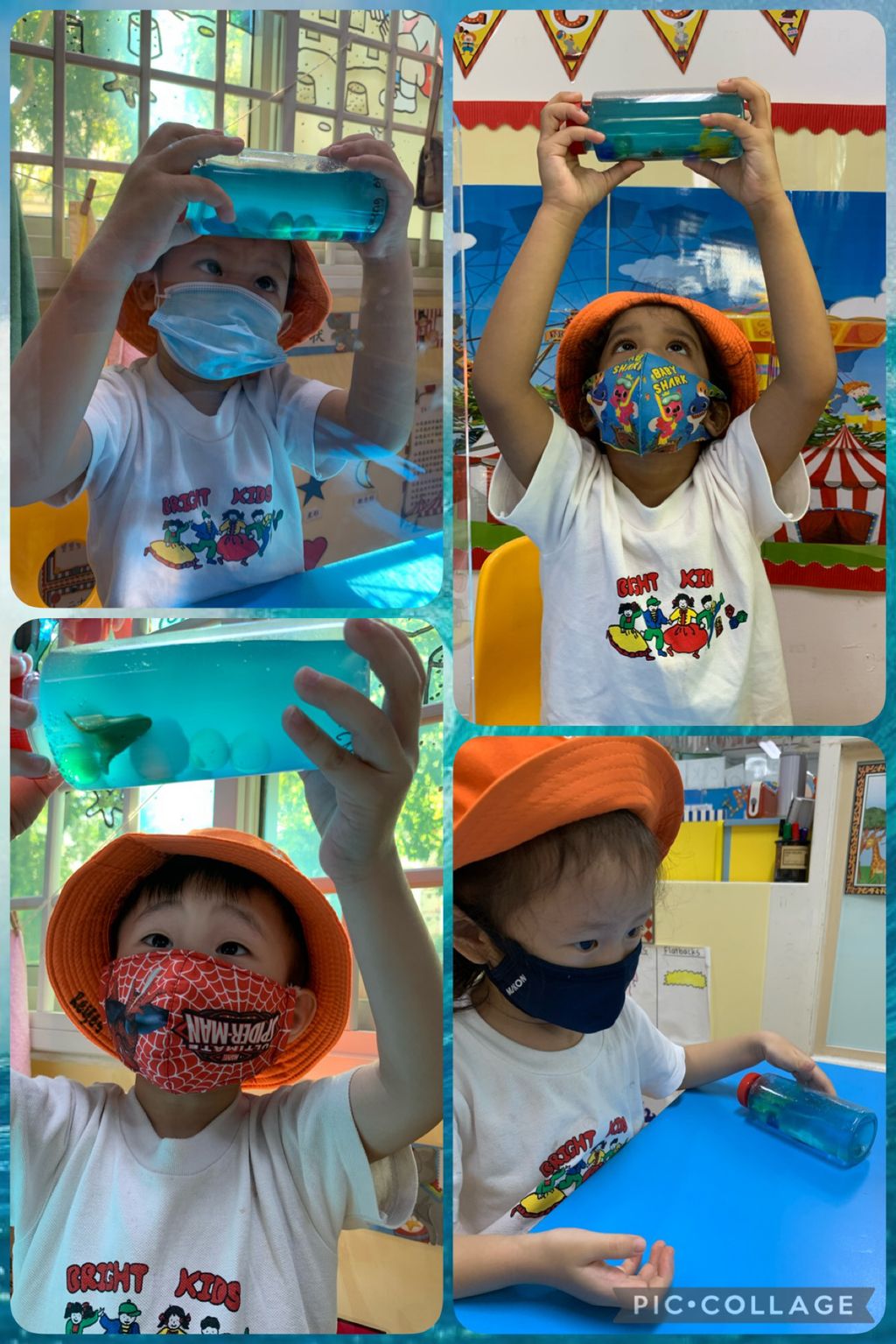 Save our turtles — photo 1