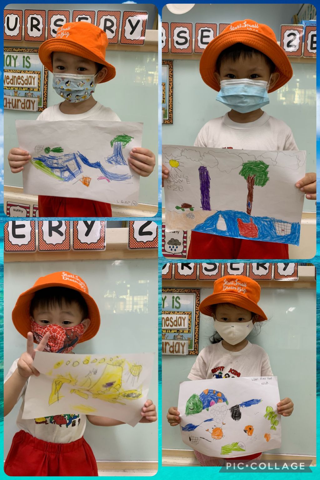 Save our turtles — photo 1