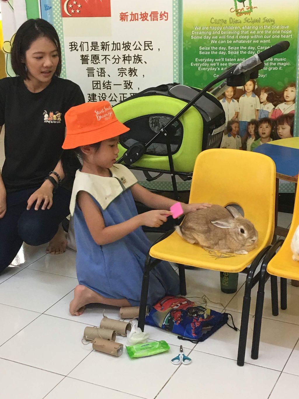 AVA Pet Central Talk — photo 1
