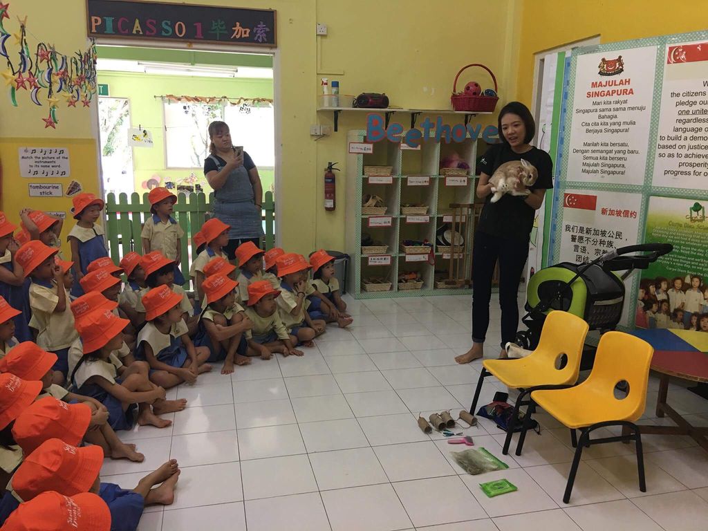 AVA Pet Central Talk — photo 1