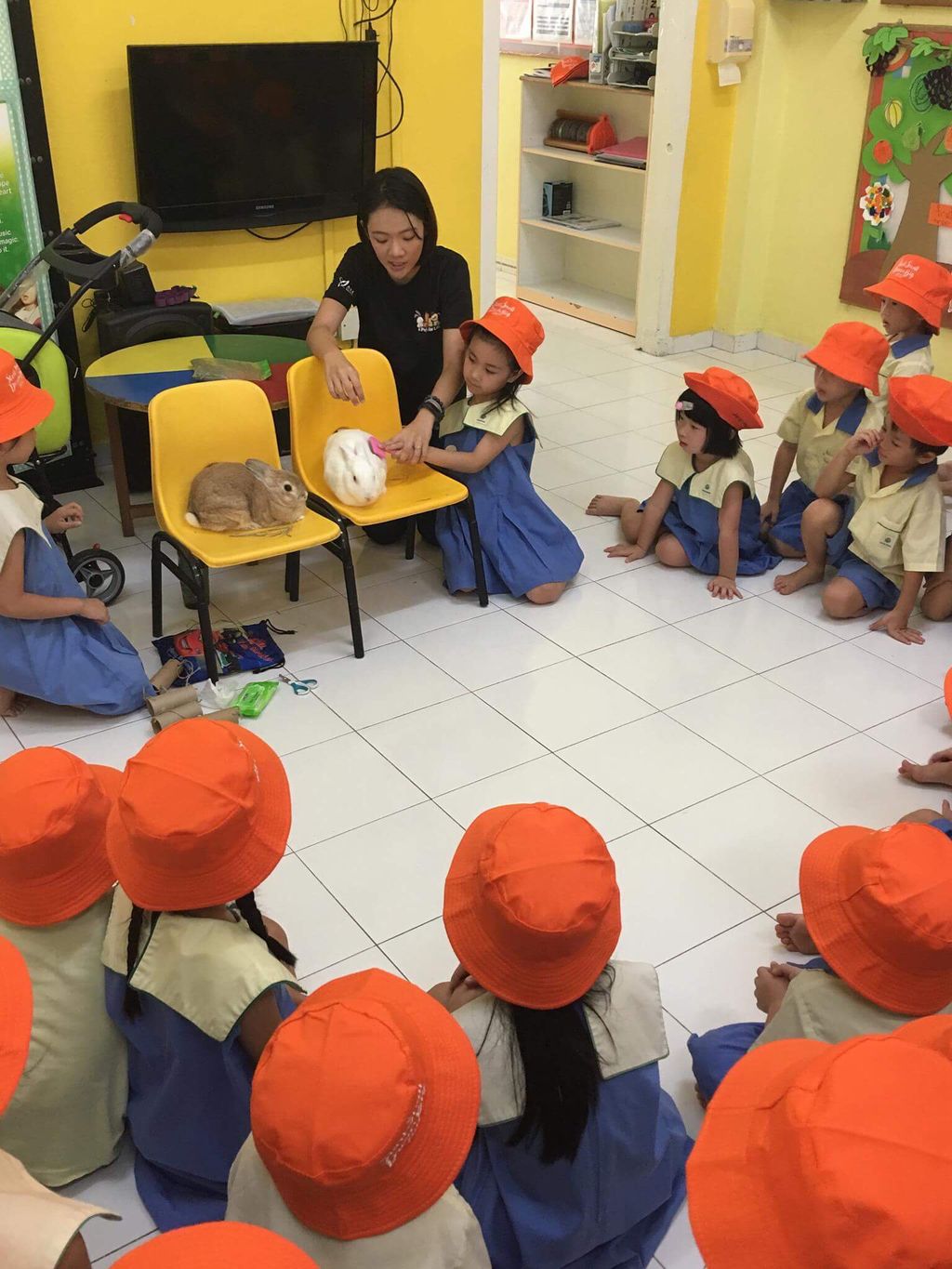 AVA Pet Central Talk — photo 2