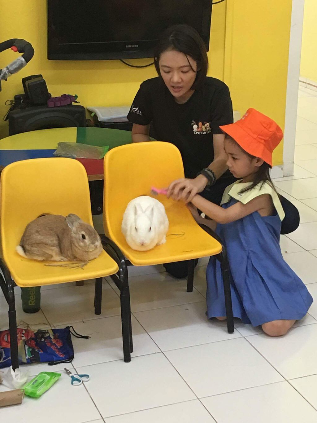 AVA Pet Central Talk — photo 3