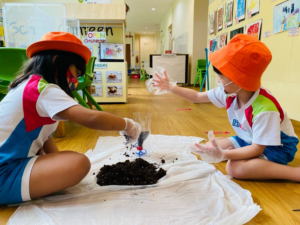 Practicing Sustainability in our School — photo 3