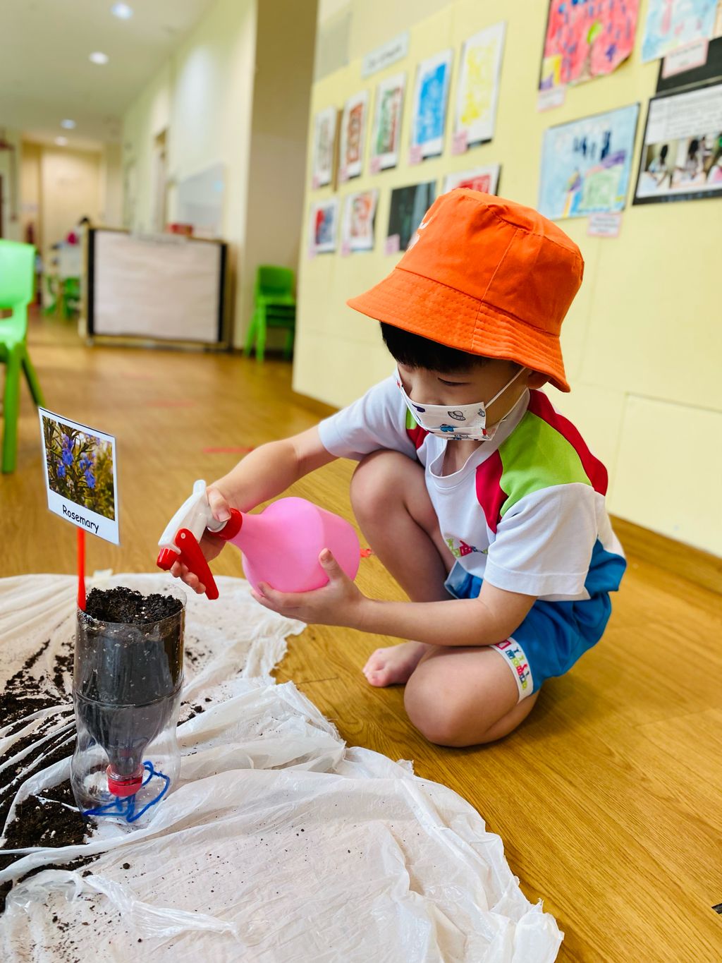 Practicing Sustainability in our School — photo 4
