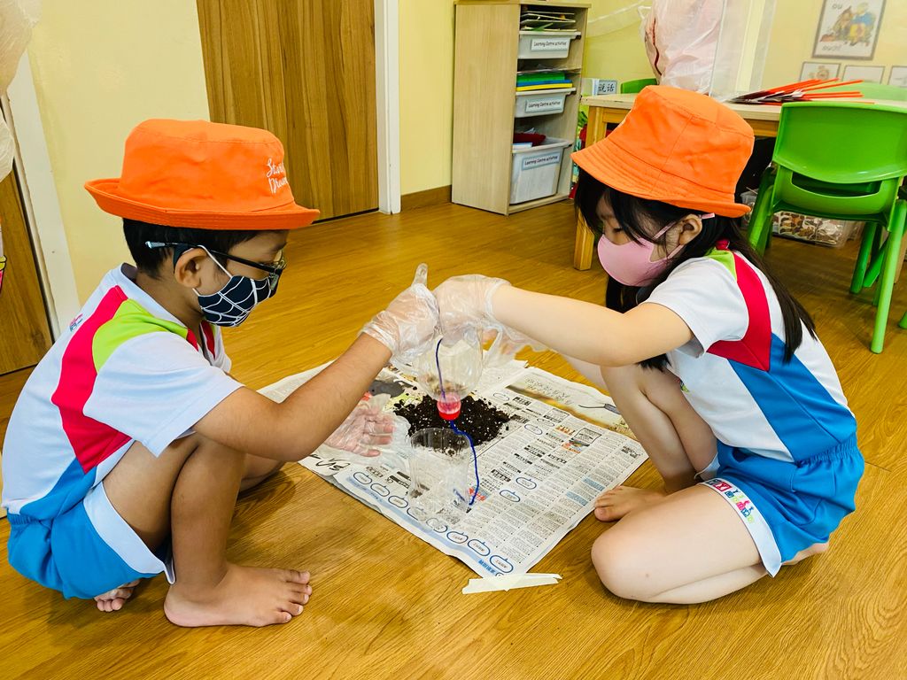 Practicing Sustainability in our School — photo 6