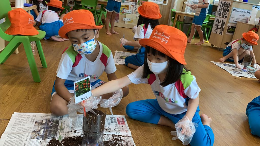 Practicing Sustainability in our School — photo 1