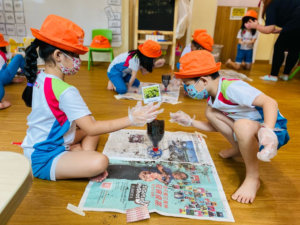 Practicing Sustainability in our School — photo 2