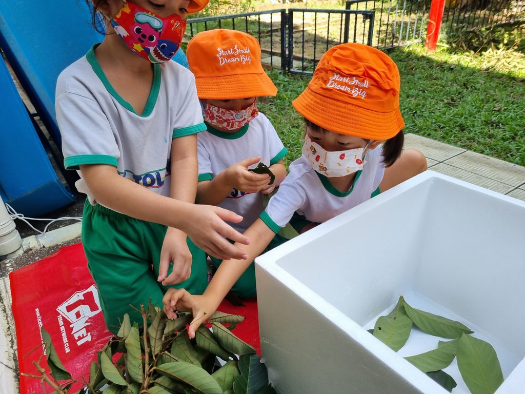 My Jolly Educare: Journey towards learning about zero waste initiatives! — photo 3