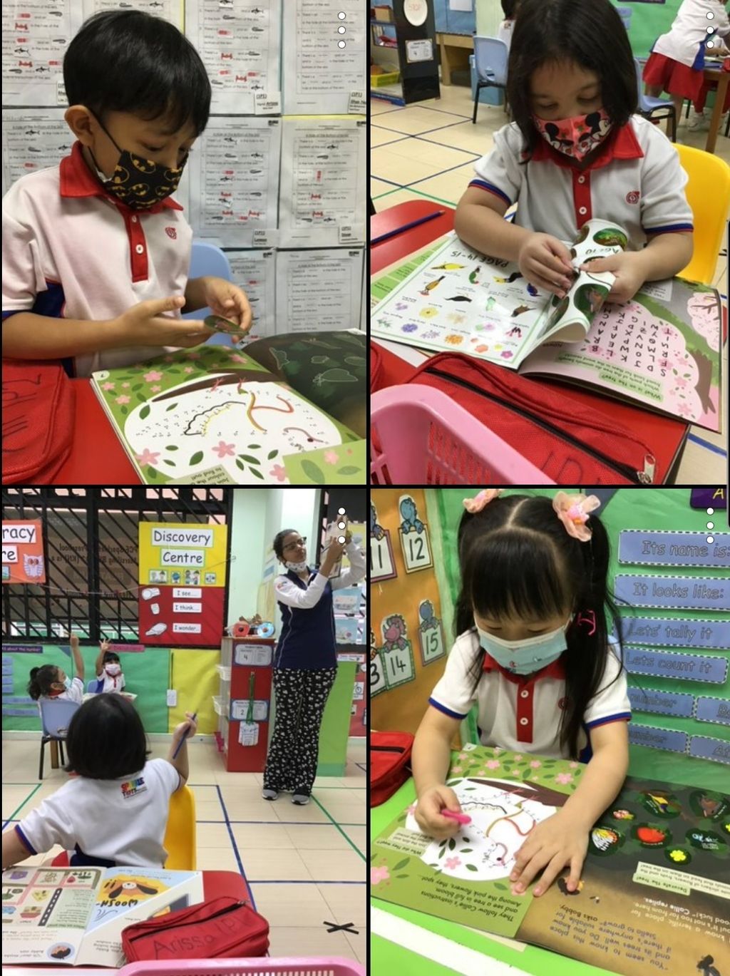 Celebrating Biodiversity — photo 2
