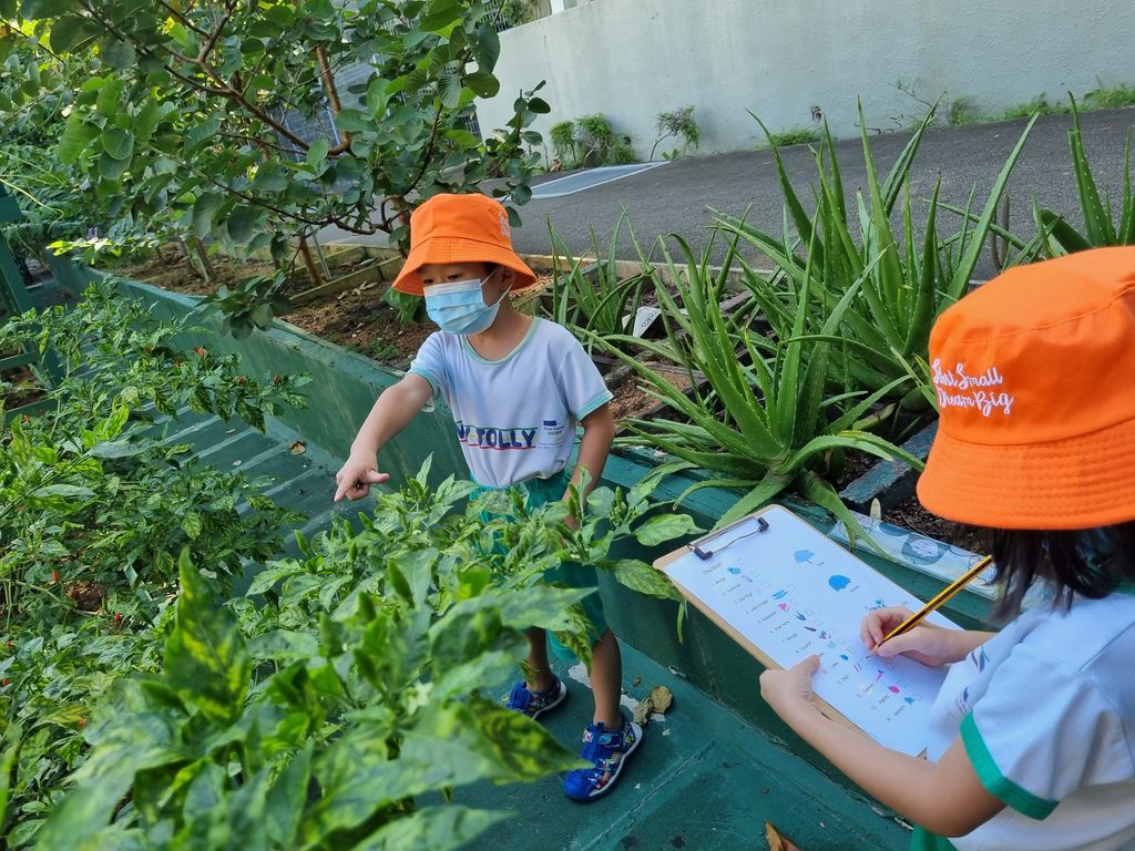 My Jolly Educare: organic foods that can be used in ZERO waste intiatives
