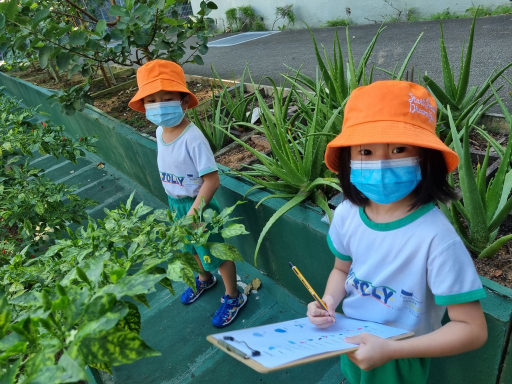 My Jolly Educare: organic foods that can be used in ZERO waste intiatives — photo 3