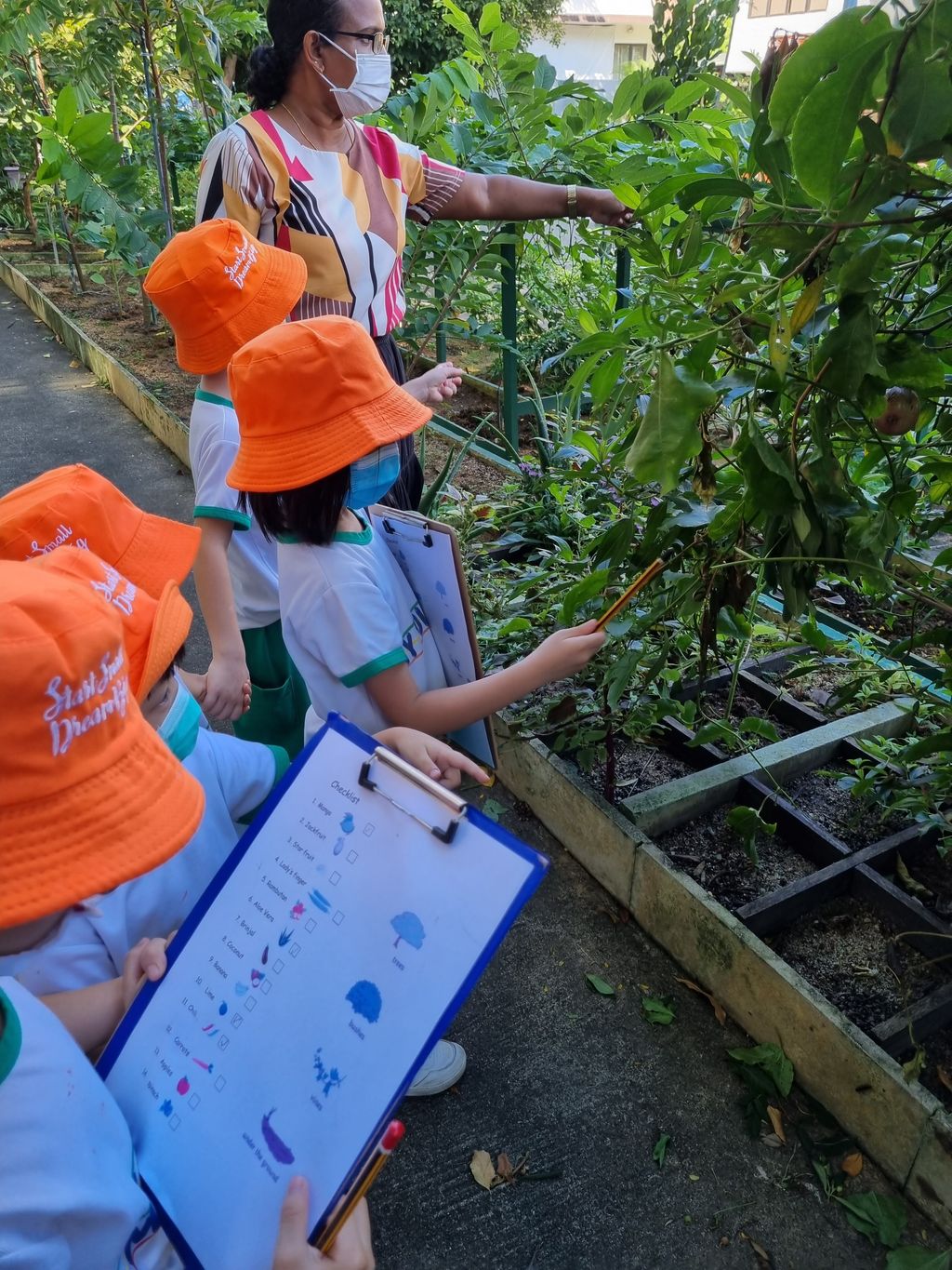 My Jolly Educare: organic foods that can be used in ZERO waste intiatives — photo 4
