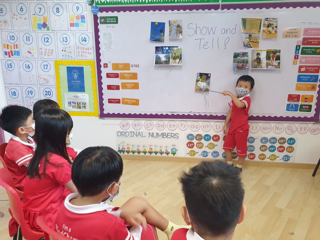 Learning pets' needs and behaviour, and ways to take care of them!