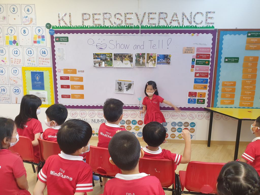 Learning pets' needs and behaviour, and ways to take care of them! — photo 2