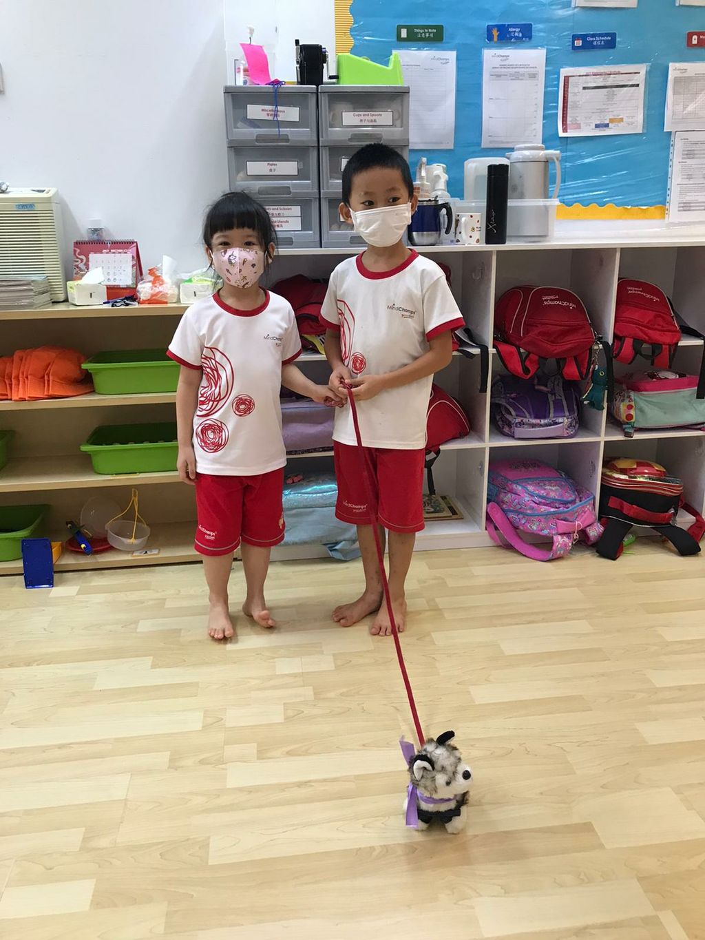 Learning pets' needs and behaviour, and ways to take care of them! — photo 1