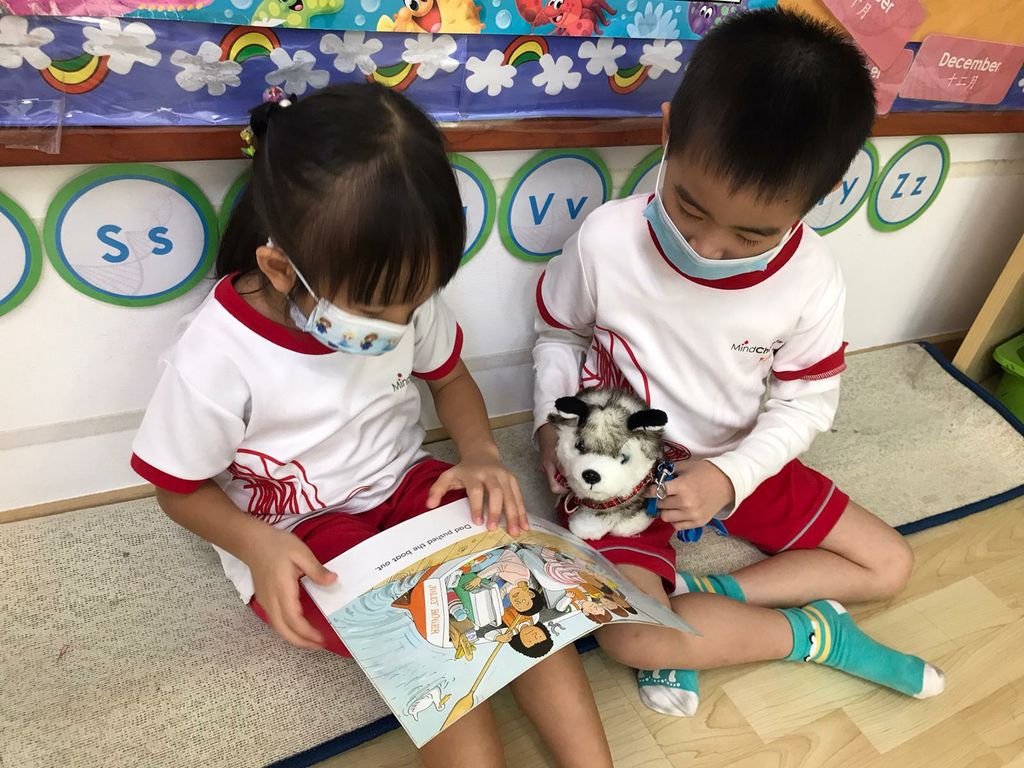 Learning pets' needs and behaviour, and ways to take care of them! — photo 2