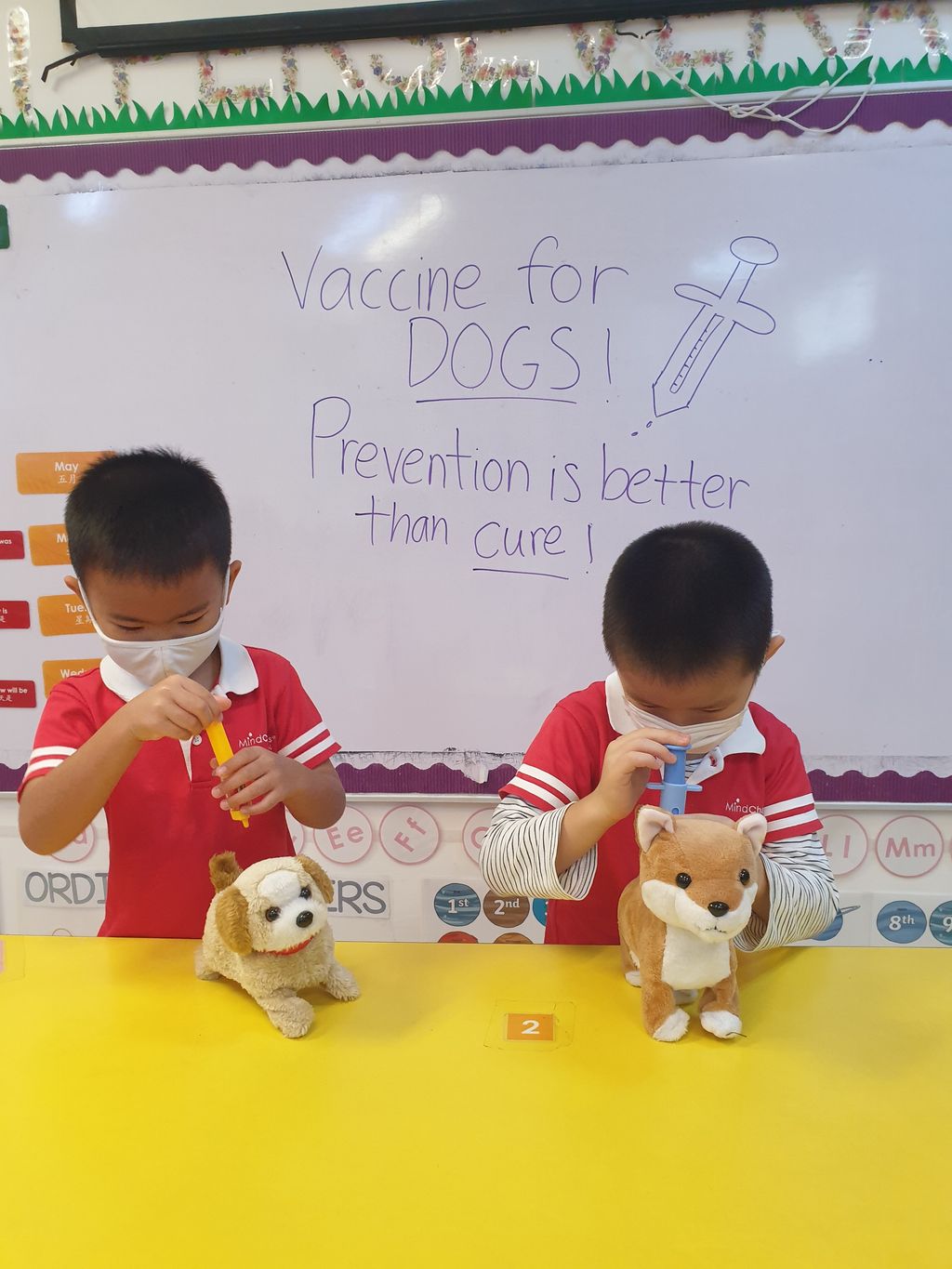 Learning pets' needs and behaviour, and ways to take care of them! — photo 5