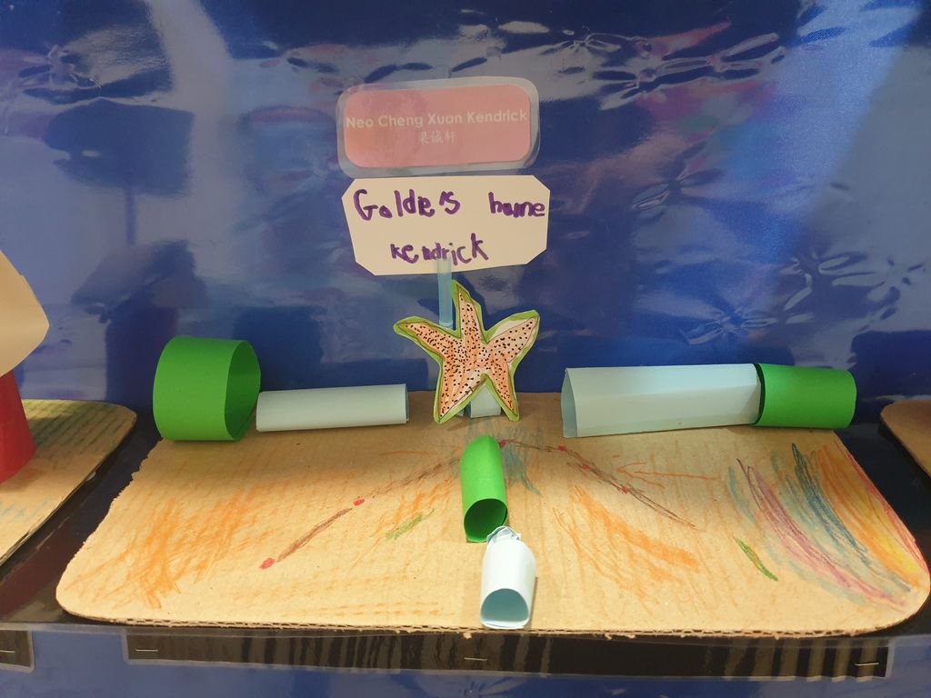 Learning pets' needs and behaviour, and ways to take care of them! — photo 3