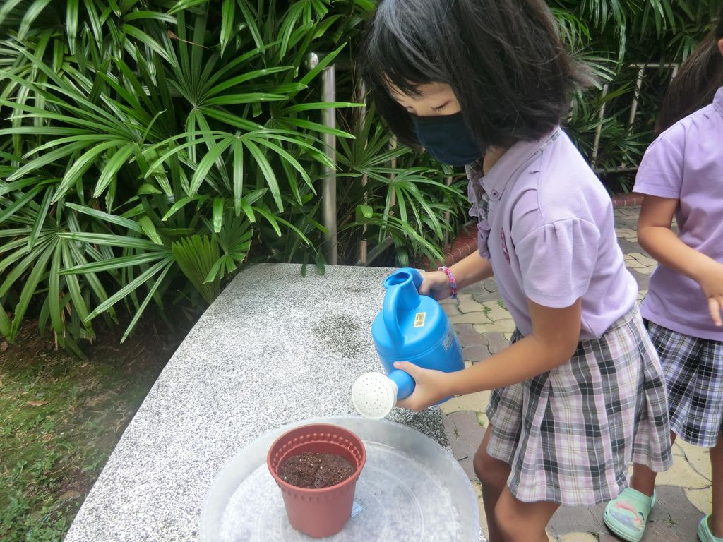 Cherie Hearts Kidz Campus @ Pasir Ris Elias Mall - Project : “The Community Nursery @ CIN Preschool Programme” on 26 April 2021 — photo 1