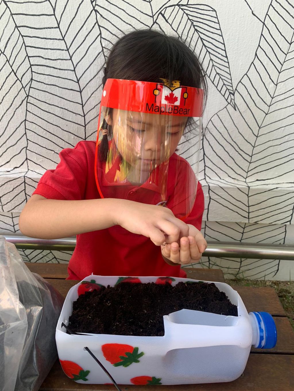 Planting in Recyclables — photo 3