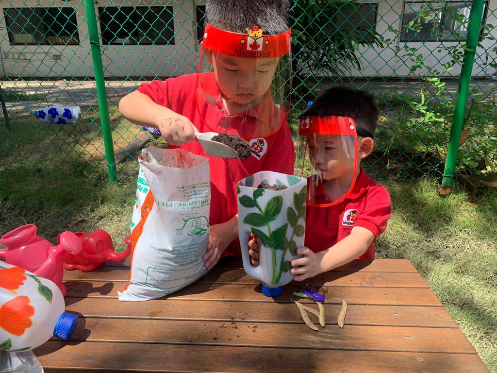 Planting in Recyclables — photo 6