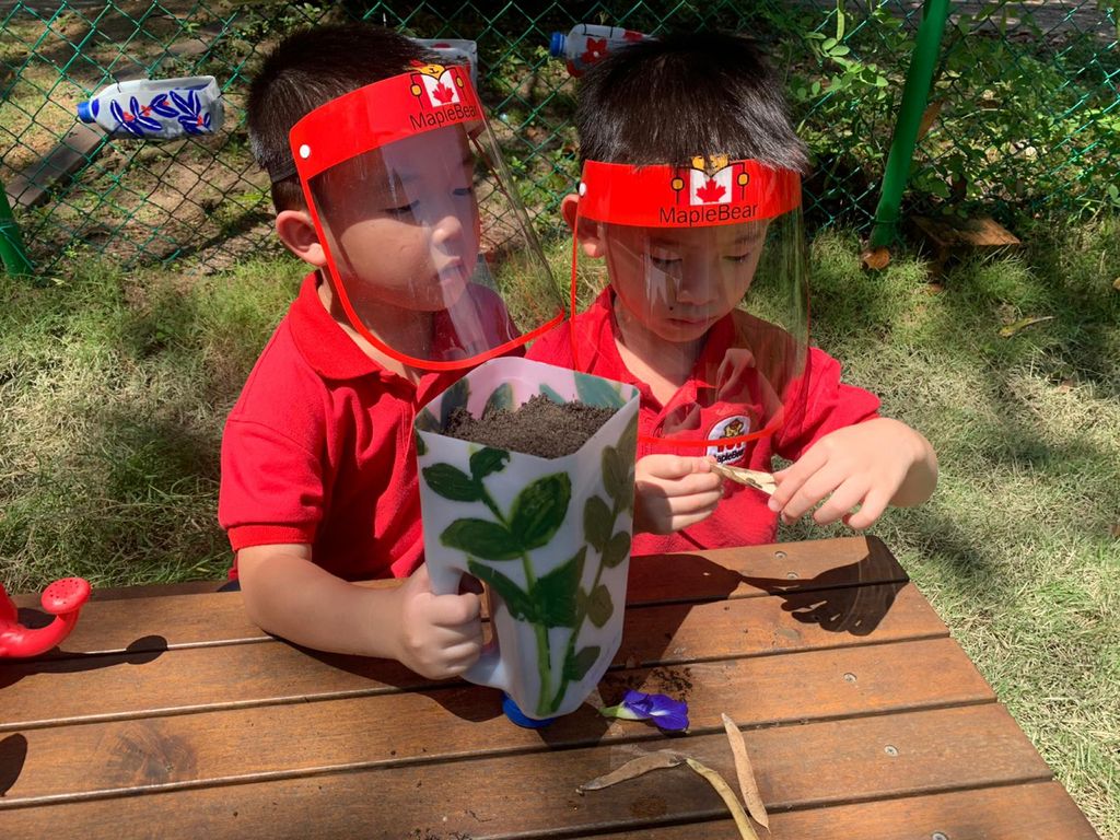 Planting in Recyclables — photo 7